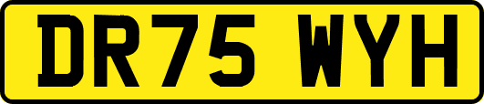 DR75WYH
