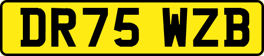 DR75WZB