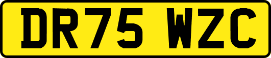 DR75WZC