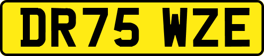DR75WZE