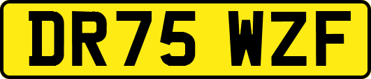 DR75WZF