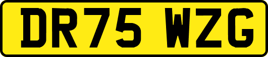 DR75WZG