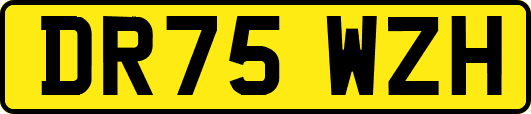 DR75WZH