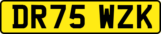 DR75WZK