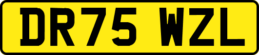 DR75WZL