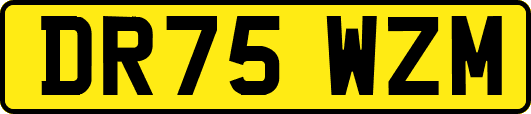 DR75WZM