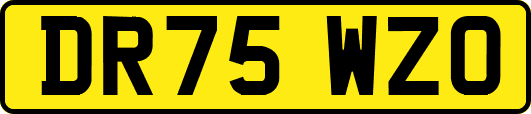DR75WZO