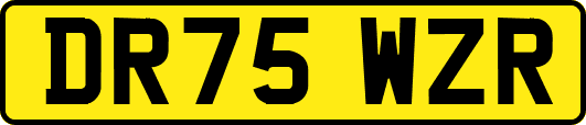 DR75WZR