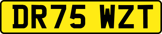 DR75WZT