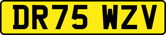 DR75WZV