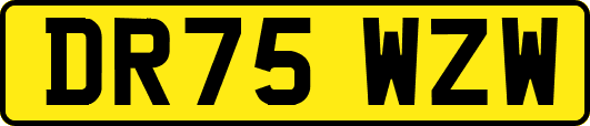 DR75WZW