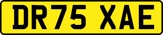 DR75XAE