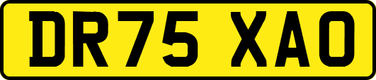 DR75XAO