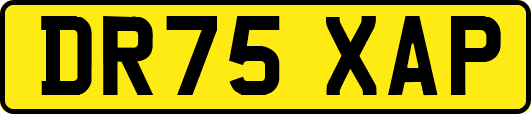 DR75XAP