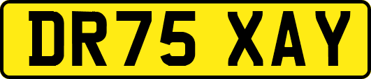 DR75XAY