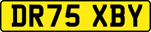 DR75XBY