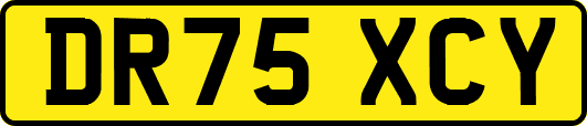 DR75XCY
