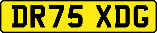 DR75XDG