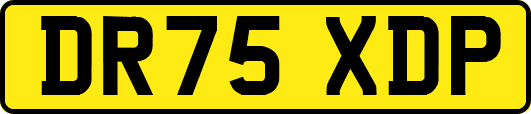 DR75XDP