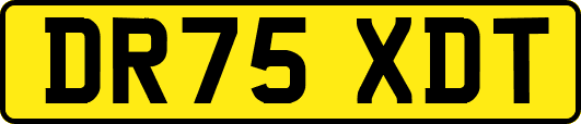 DR75XDT