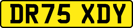 DR75XDY