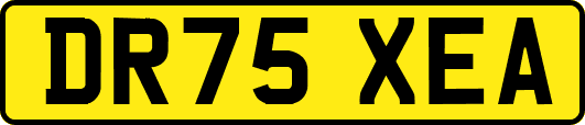 DR75XEA