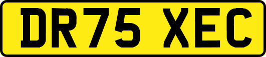 DR75XEC