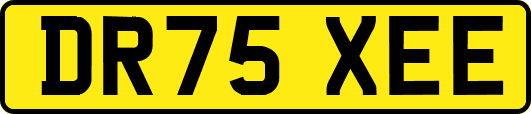 DR75XEE