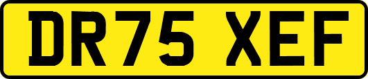 DR75XEF