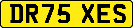 DR75XES