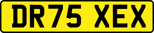 DR75XEX