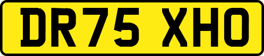 DR75XHO
