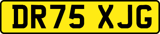 DR75XJG