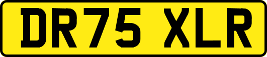 DR75XLR