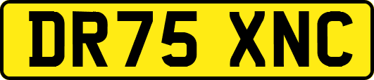 DR75XNC