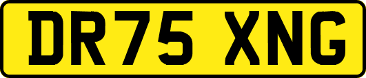 DR75XNG