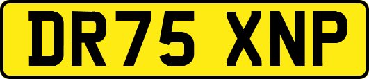 DR75XNP