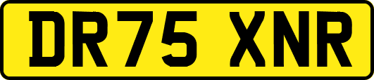 DR75XNR
