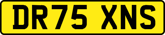 DR75XNS