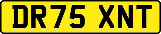 DR75XNT