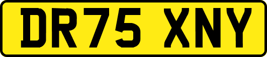DR75XNY