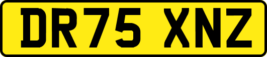 DR75XNZ