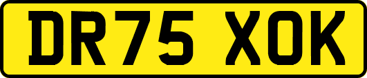 DR75XOK