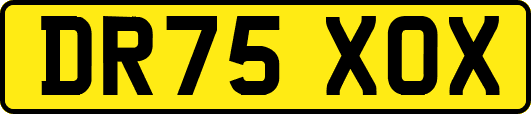 DR75XOX