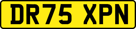 DR75XPN