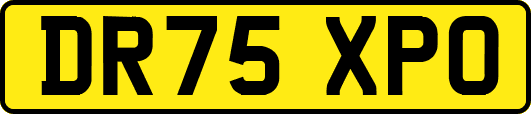 DR75XPO