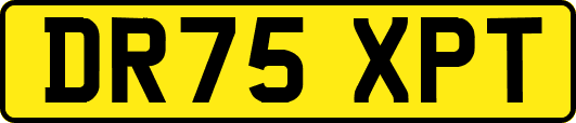 DR75XPT