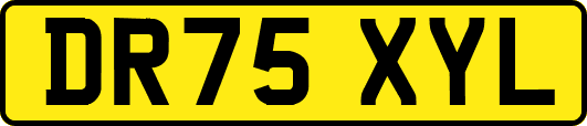 DR75XYL