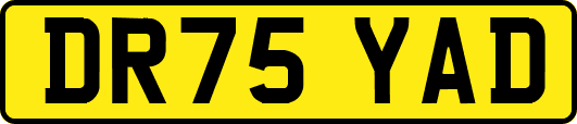 DR75YAD