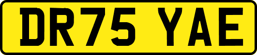 DR75YAE